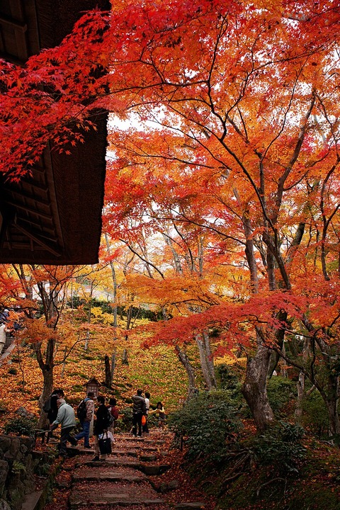 Jojakkoji_Kyoto08s3s4500