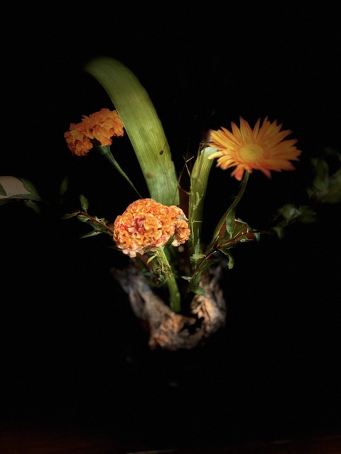 S__147570710 (1)
