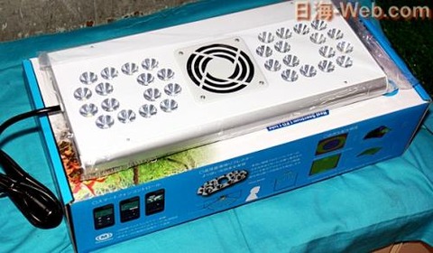 02060843_5c5a1f9f19038