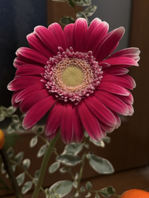 S__136142865