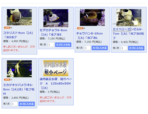 capture-20240825-083440