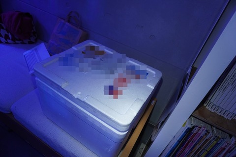 DSC00579