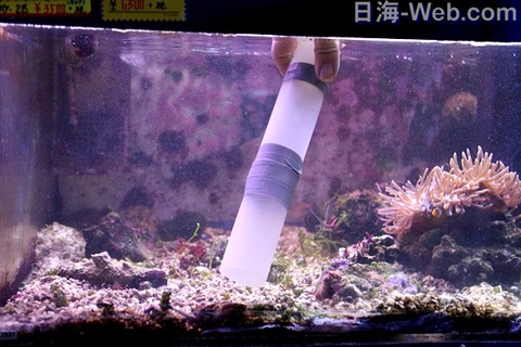 底砂のお手入れ くまぱぱのブログ