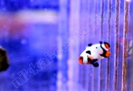 09220910_5f6940ea98b23