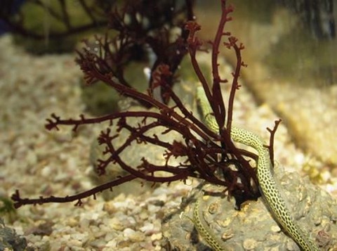 07131029_68730c075e7a3