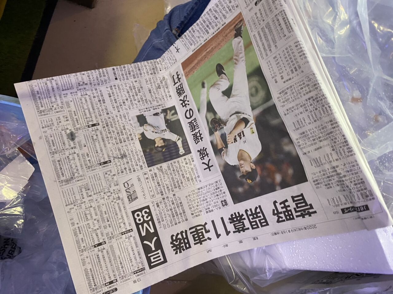 長旅 おつかれさまです 海水魚の輸入について 海水魚のパイオニア 日海センター 日海フィッシュコム 長旅 おつかれさまです 海水魚の輸入について 海水魚のパイオニア 日海センター 日海フィッシュコム