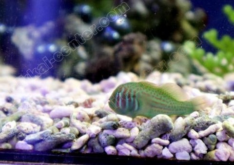 03081512_6045c05d307e2