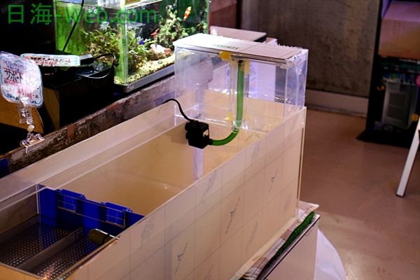 ベテラン奥様と かんたん槽ｎｋ ９０ くまぱぱのブログ