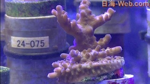 05241542_5ce7926735281