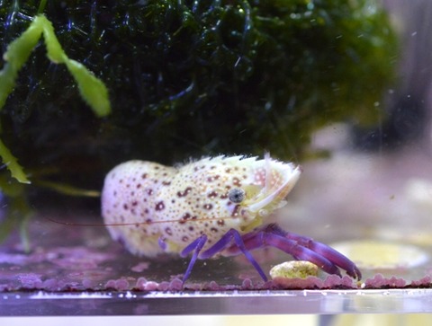 09252139_5605409d616cf