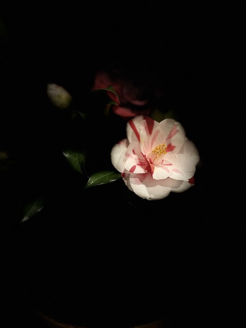 S__141688837