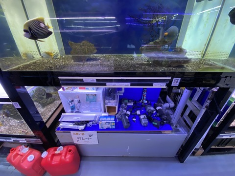 C9CE11D7-8917-4470-A96E-066217FD00FF