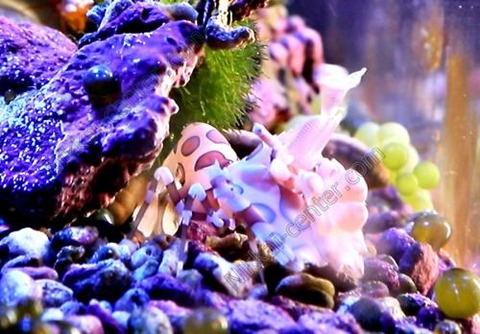 05082123_6277b65d60e5b