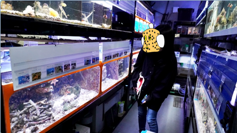 capture-20251103-093150