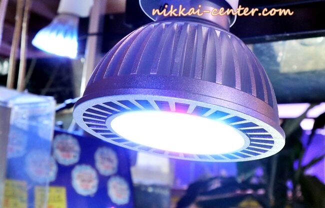 LED照明 日海センターモデル 新発売 | くまぱぱのブログ