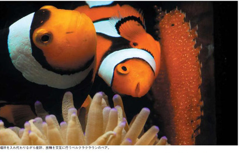 無題7-1