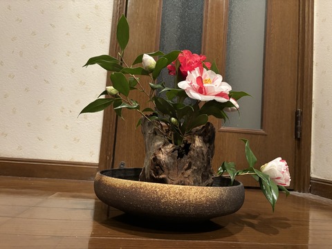 S__141688838