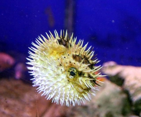 LL_IMG_8332-3