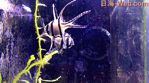 01212220_5c45c733654e1