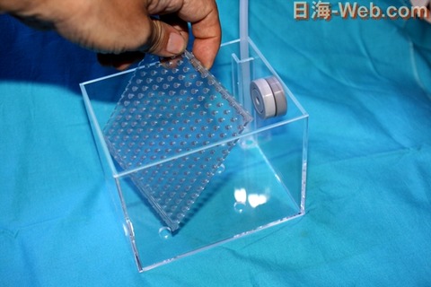 ついに 発売開始 アクリルケース観察館 | 商品の紹介 | 海水魚の