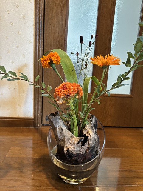 S__147570711 (1)