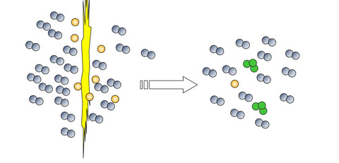 ブログ模式図水槽