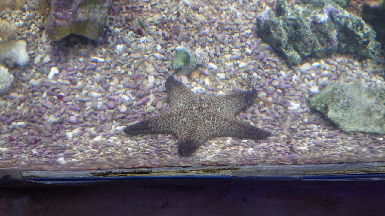 とっても面白い生き物達だよ くまぱぱのブログ とっても面白い生き物達だよ くまぱぱのブログ