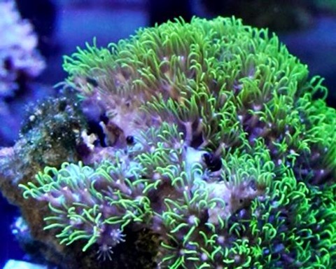 10171505_68f1dcc5ba52a