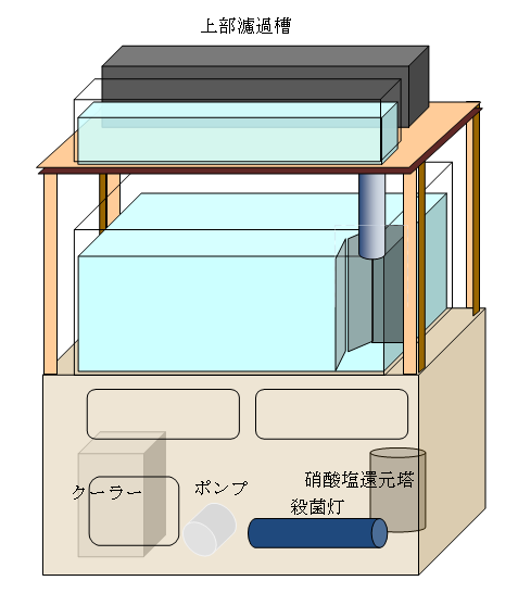 capture-20250908-100430
