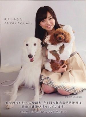 乃木坂46日刊速報
