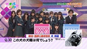 乃木坂46日刊速報