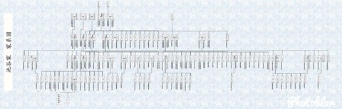 池谷コラム写真
