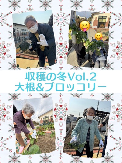 【冬の収穫】メイン②
