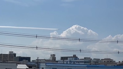 1752300748121_exported_3300
