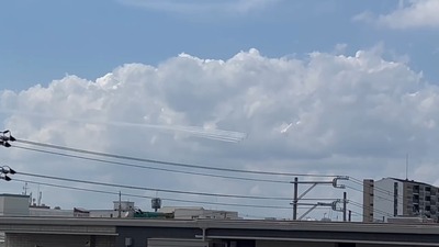 1752300748121_exported_30005