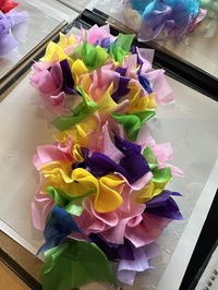 写真 2024-07-18 15 38 14