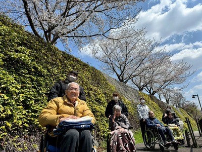【2604】さくら花見①