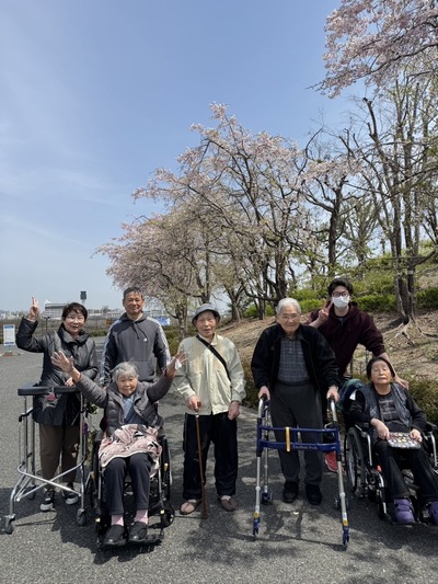【花見】2504①