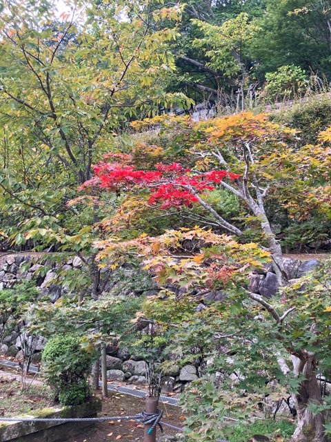 20260924-6Resize