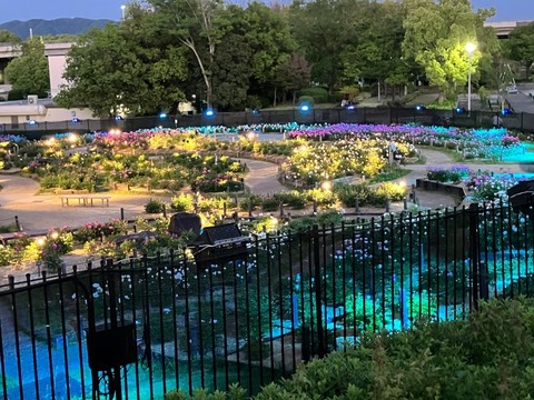 20260506-4Resize