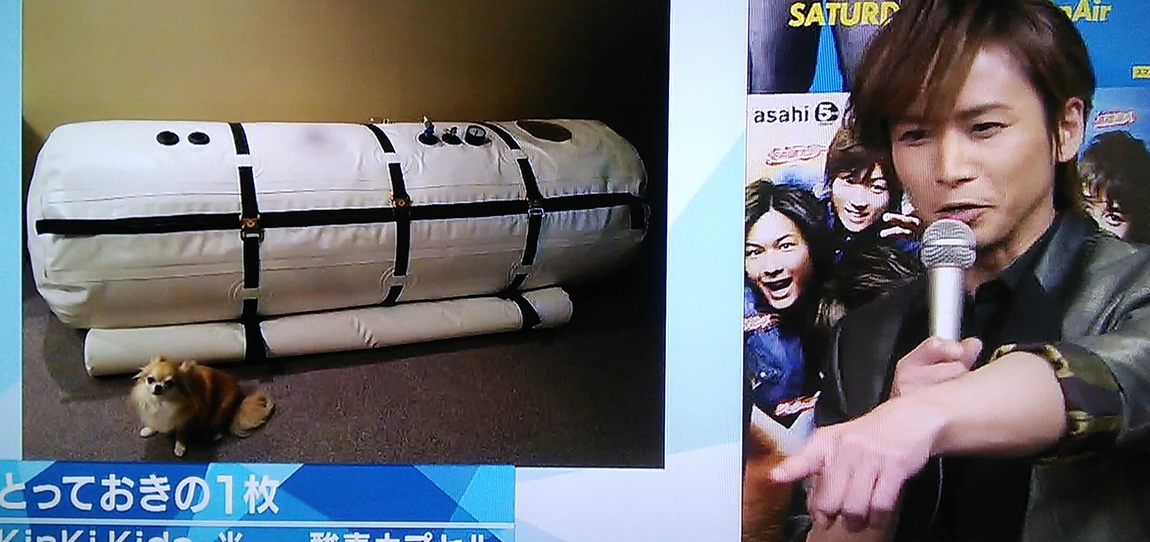 Mステ ちぃ のきままにっき
