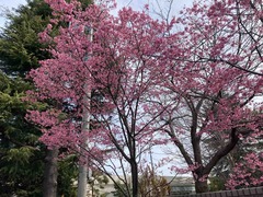 IMG_5157