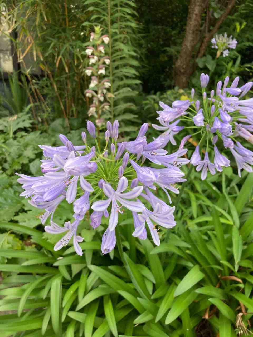 The Sound Of Secret Mind ソレデモ地球ハ 回ッテル