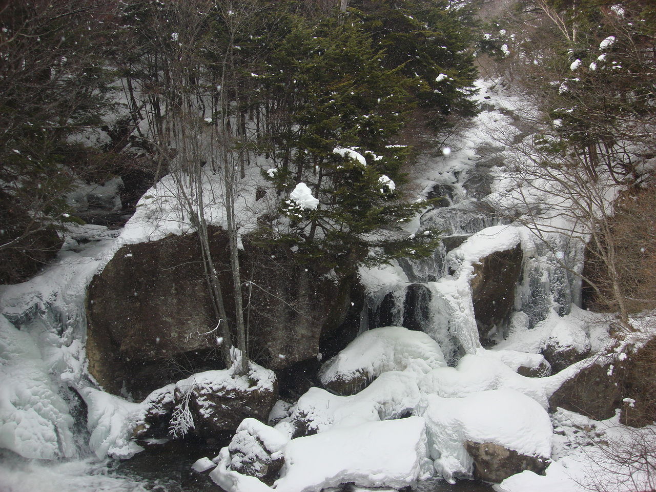 奥日光寒いだけじゃない 冬イベントのご案内 日光レークサイドホテル通信