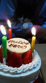 5d50955b.jpg