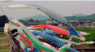 20051