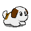dog_400