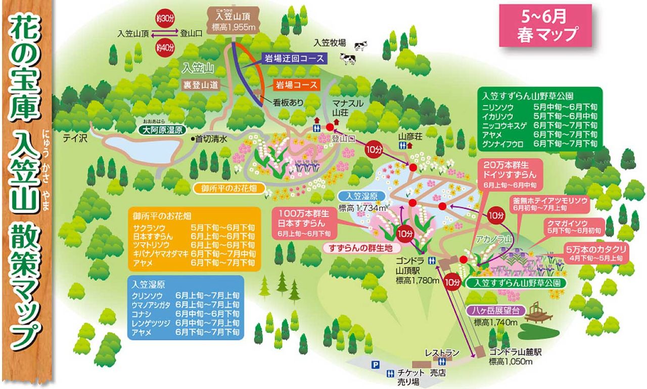 春の天空の花園 入笠山 にゅうがさやま 入笠湿原 富士見パノラマリゾート Nikkou Start