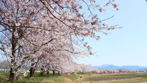 462bc63a196070b63397166970183d40