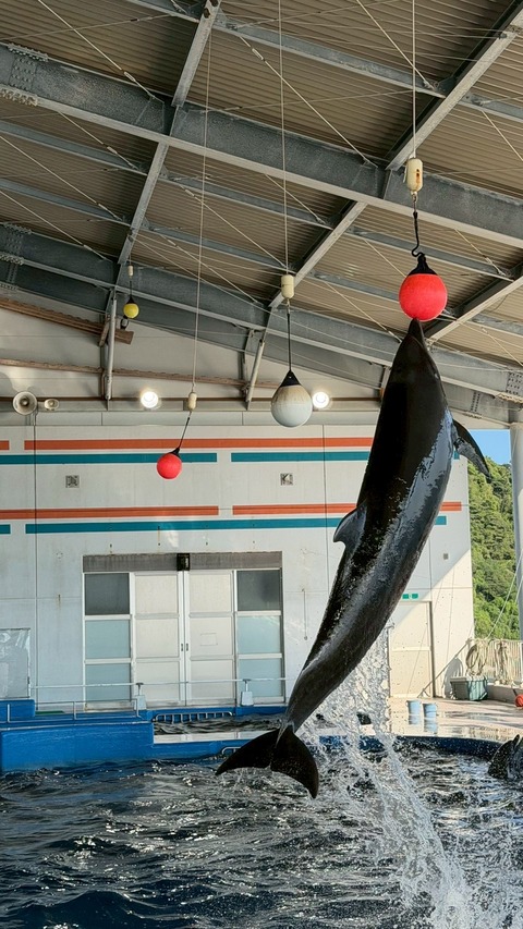 850C2476-917A-401B-A8C4-5998E97884F8